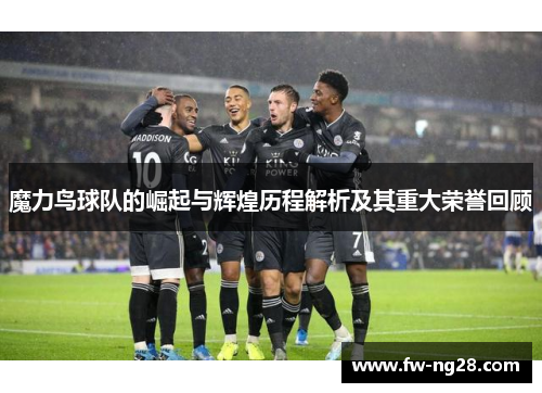 魔力鸟球队的崛起与辉煌历程解析及其重大荣誉回顾
