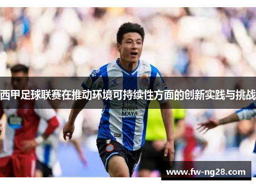 西甲足球联赛在推动环境可持续性方面的创新实践与挑战