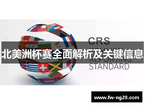 北美洲杯赛全面解析及关键信息