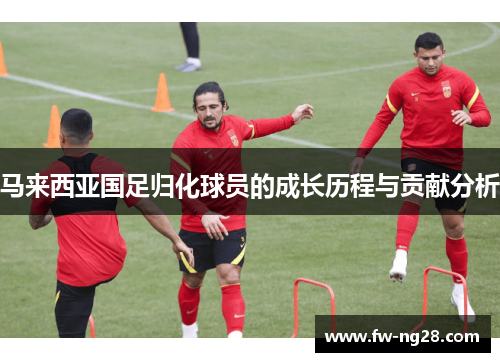 马来西亚国足归化球员的成长历程与贡献分析 马来西亚国足归化球员的成长历程与贡献分析