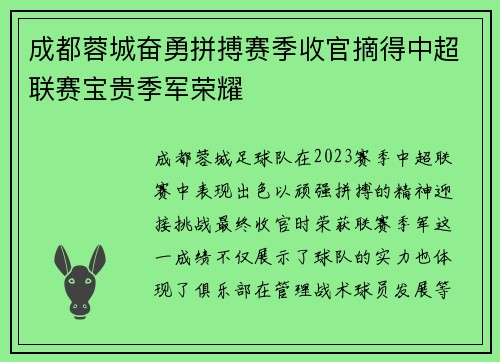 成都蓉城奋勇拼搏赛季收官摘得中超联赛宝贵季军荣耀